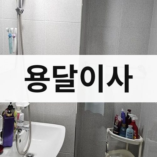 경북 동해안 용달이사 포장이사