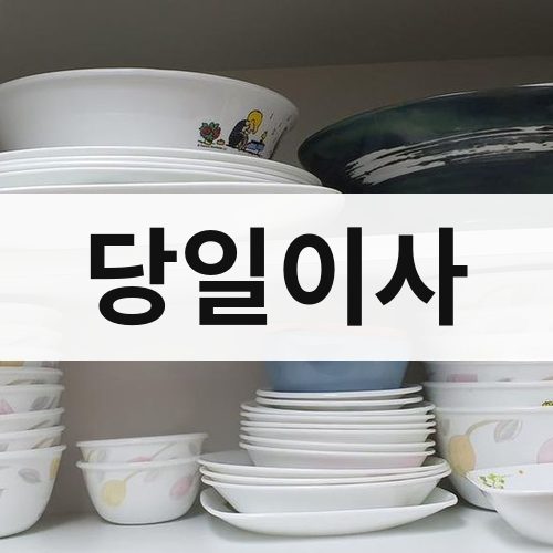 경북 동해안 당일이사 포장이사